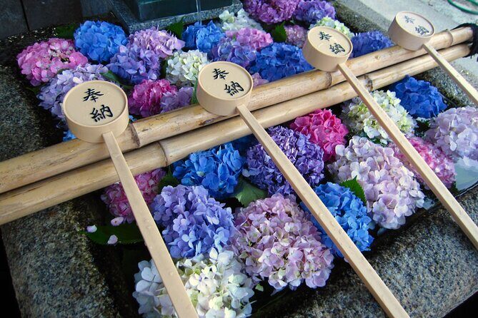 Kyoto Private Hydrangea Tour by Car and Rail - Good To Know