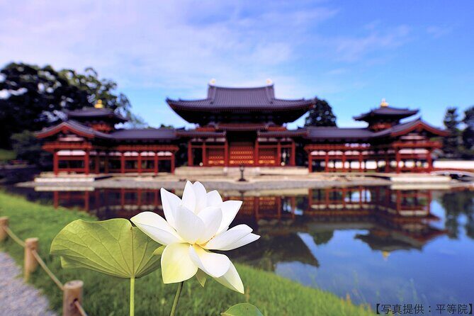 Kyoto Private Hydrangea Tour by Car and Rail - Exploring Kyoto’s Hydrangea Highlights