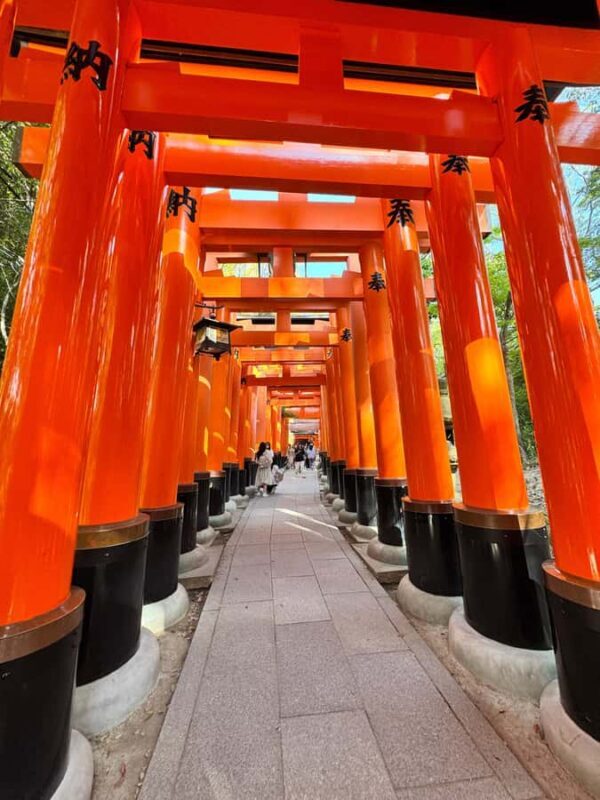 Kyoto: Private Kyoto and Nara Customizable Day Tour - Starting the Day: Flexible Pickup and Scenic Drives