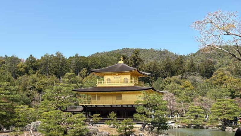 Kyoto: Private Kyoto and Nara Customizable Day Tour - Return Journey and Overall Experience