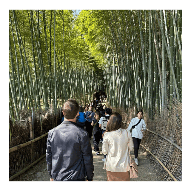 Kyoto: Private Kyoto Car Tour With Hotel Pickup and Drop-Off - Itinerary Highlights