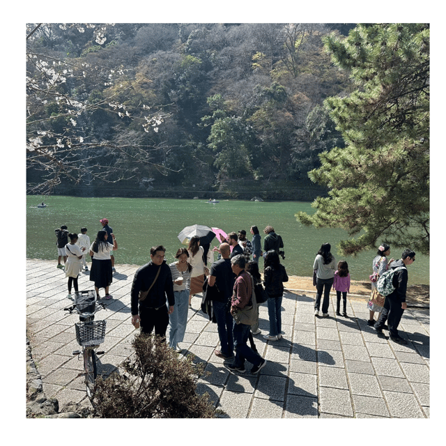 Kyoto: Private Kyoto Car Tour With Hotel Pickup and Drop-Off - Transportation and Accessibility