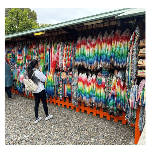 Kyoto: Private Kyoto Car Tour With Hotel Pickup and Drop-Off - Important Information