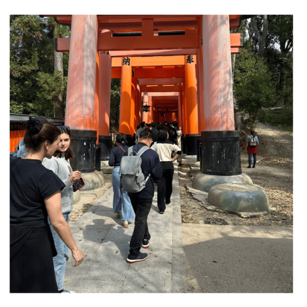 Kyoto: Private Kyoto Car Tour With Hotel Pickup and Drop-Off - Customer Reviews