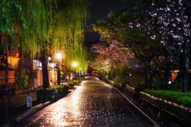 Kyoto Private Night Tour With English Speaking Driver - Tour Details