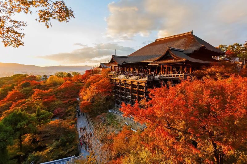 Kyoto Private One Day Tour with Hotel Pick-up from Osaka/Kyoto/Kobe - Arashiyama’s bamboo paths and riverside sights