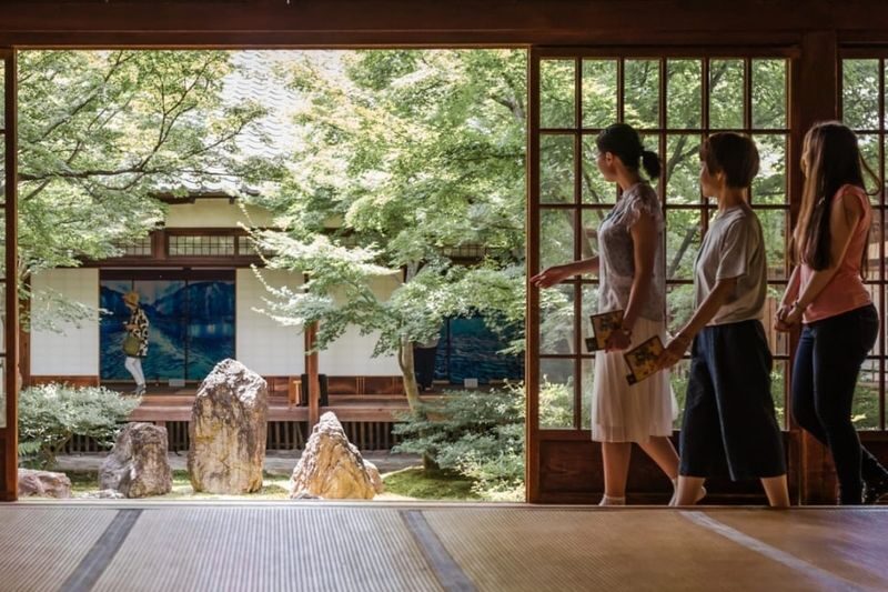 Kyoto: Private & Personalized Full-day Walking Tour with a Local - A Kyoto day built around your own interests