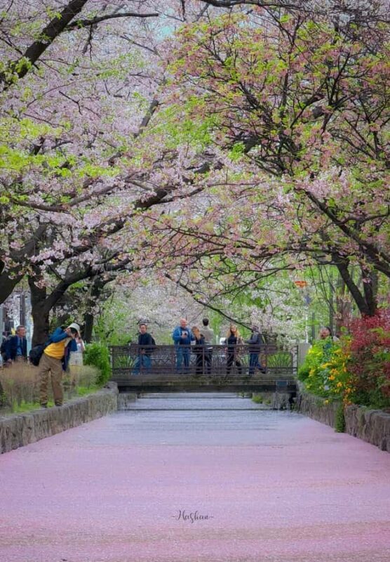 Kyoto Private Photoshoot: Fushimi Inari, Gion & Bamboo - Practical Details