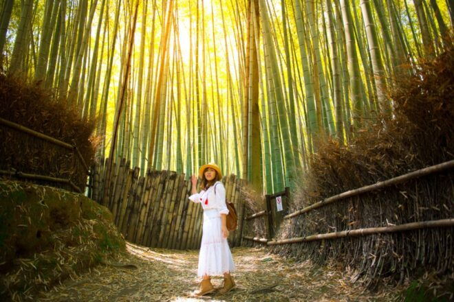 Kyoto: Private Photoshoot in Arashiyama, Bamboo Forest - Full Description