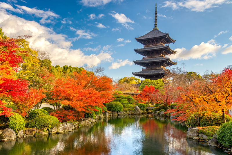 Kyoto Private Tour: Custom Highlights with a Licensed Guide - The major sights you can build around