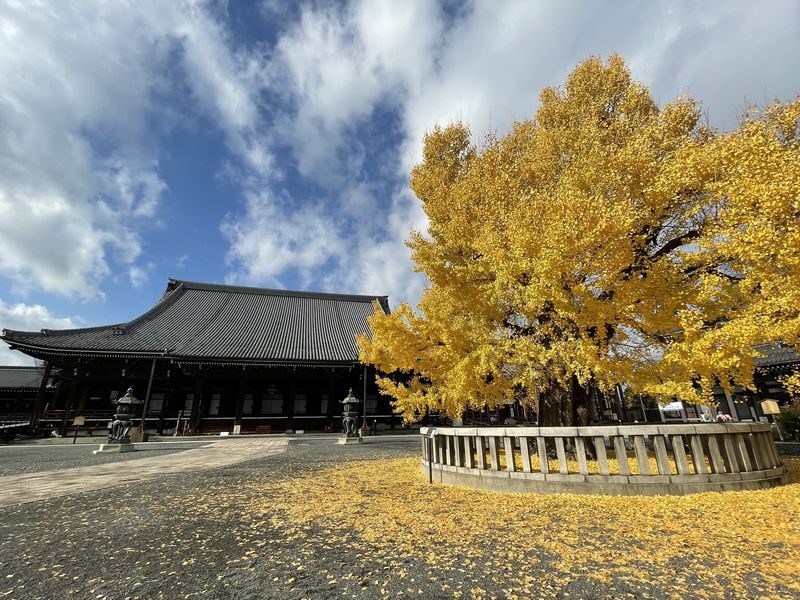 Kyoto Private Tour: Custom Highlights with a Licensed Guide - Walking, transit, and the extra costs