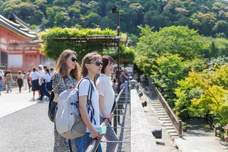 Kyoto Private Tour: Custom Highlights with a Licensed Guide - Who should book this Kyoto tour