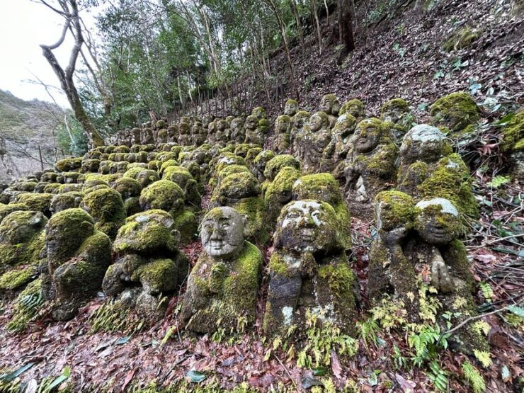 Kyoto Private Tour From Osaka/Kobe Port With Japanese Guide - Pricing and Group Size