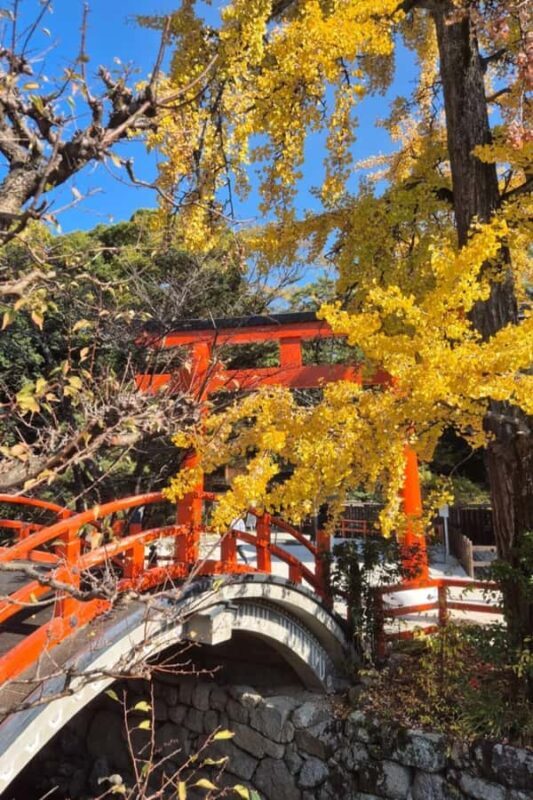 Kyoto Private Tour from Tokyo by Bullet Train | One-Way - Final Thoughts