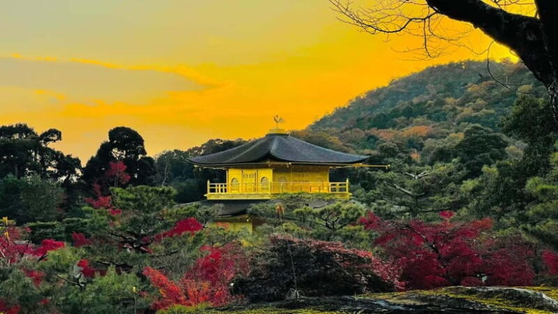 Kyoto Private Tour with English Guide & Pickup (Osaka-Kyoto) - Who Should Book This Tour?