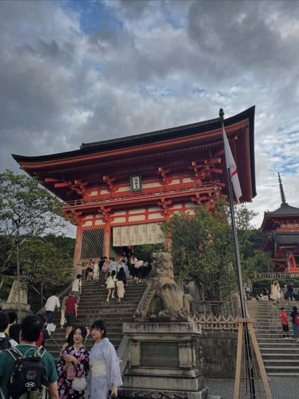 Kyoto: Private Tour with Nara included and English Driver - The Sum Up