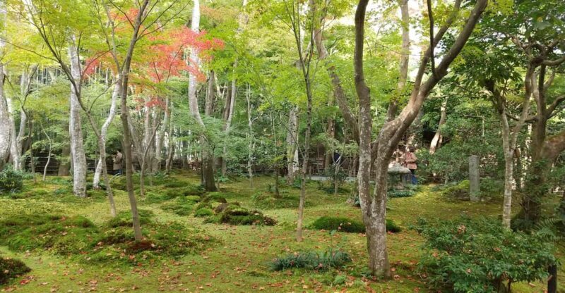 Kyoto: Quiet Arashiyama and Sagano Temples Guided Tour - Kyoto: Quiet Arashiyama and Sagano Temples Guided Tour — An Authentic Journey  