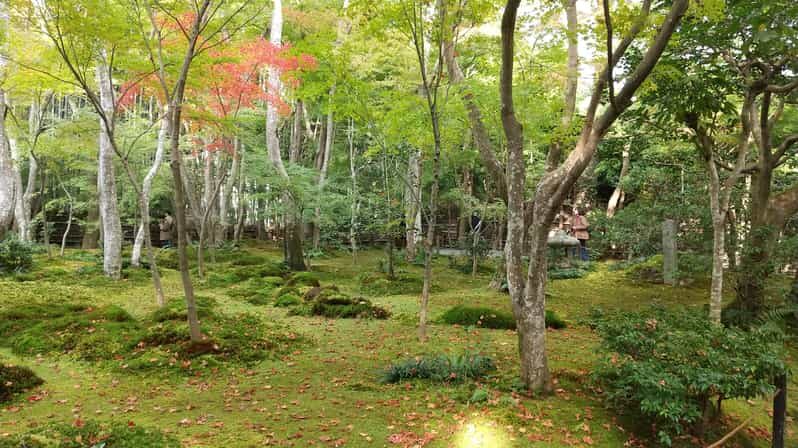 Kyoto: Quiet Arashiyama and Sagano Temples Guided Tour - Good To Know  