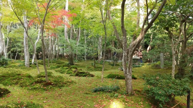 Kyoto: Quiet Arashiyama and Sagano Temples Guided Tour - What to Expect During the Tour  