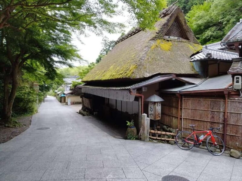 Kyoto: Quiet Arashiyama and Sagano Temples Guided Tour - Who Is This Tour Best For?  