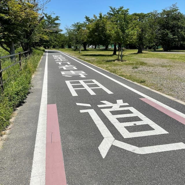 Kyoto: Rent a Touring Bike in Kyoto and Return in Osaka! - Safety and Equipment