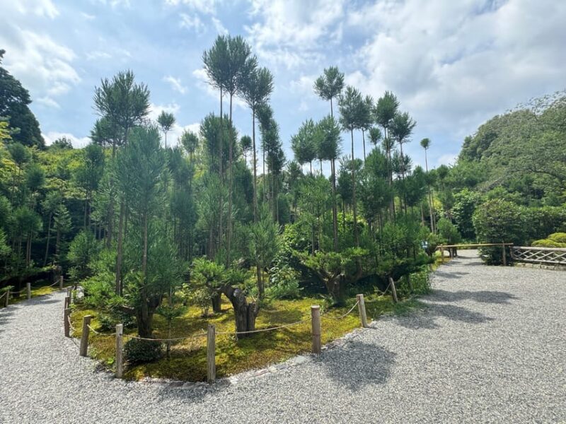 Kyoto: Ryan-ji, Greatest Zen Garden Guided Tour in 90 Min. - What Makes This Tour Stand Out?