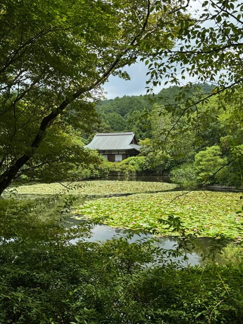 Kyoto: Ryōan-ji, Greatest Zen Garden Guided Tour in 80 Min. - Good To Know