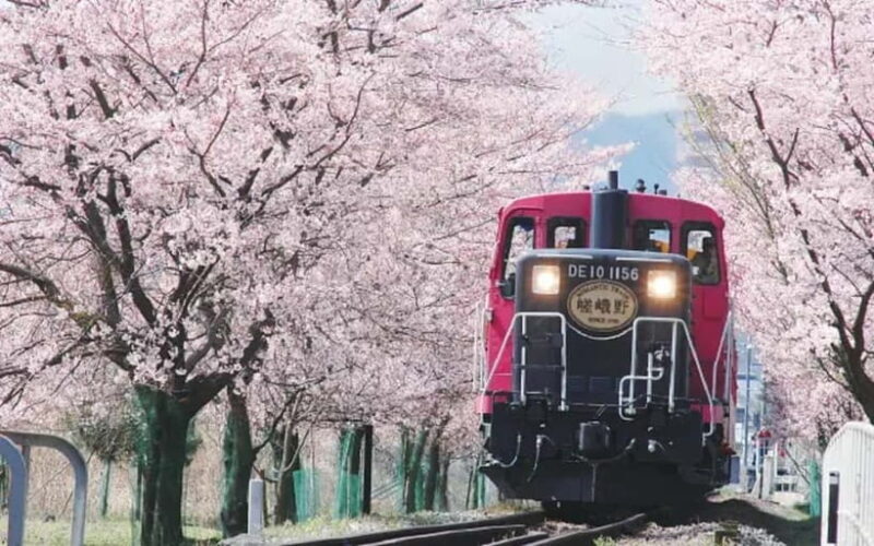 Kyoto: Sagano Romantic Train and Hozugawa River Cruise - Good To Know