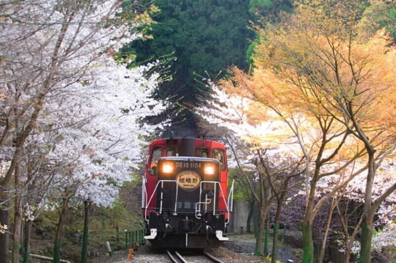 Kyoto: Sagano Romantic Train and Hozugawa River Cruise - An In-Depth Look at the Tour Experience