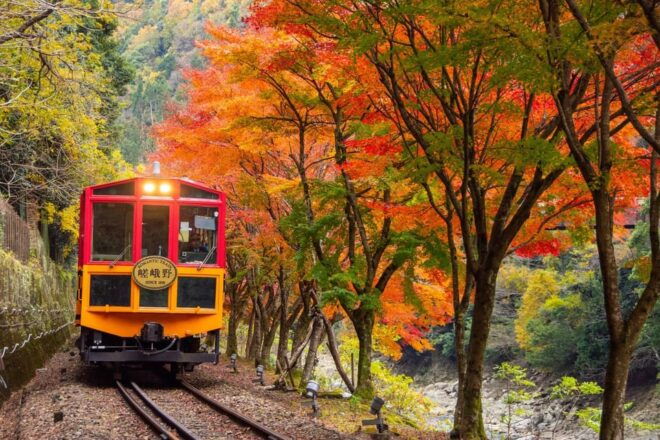 Kyoto Sagano Romantic Train in Arashiyama Bus Tour - Must-See Attractions