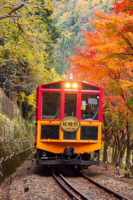Kyoto Sagano Romantic Train in Arashiyama Bus Tour - Tips for a Great Experience