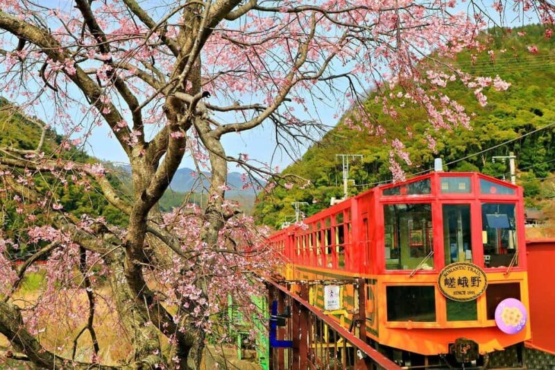Kyoto: Sagano Scenic Railway, River Cruise, & Sake Tour - An In-Depth Look at the Tour
