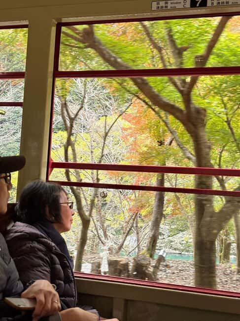 Kyoto: Sagano Scenic Railway, River Cruise, & Sake Tour - Who Will Love This Tour?