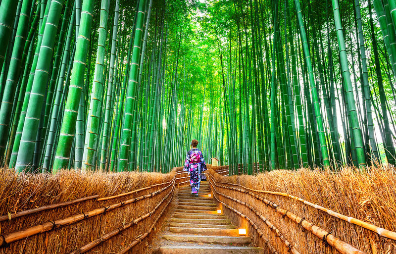 Kyoto Sagano Train & Hozugawa River Cruise Full-Day Tour - The Hozugawa cruise: a change from the tracks