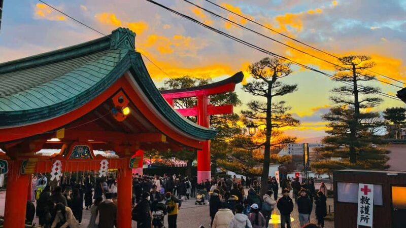 Kyoto Sakura Experience English Full Day Sightseeing Tour - Good To Know