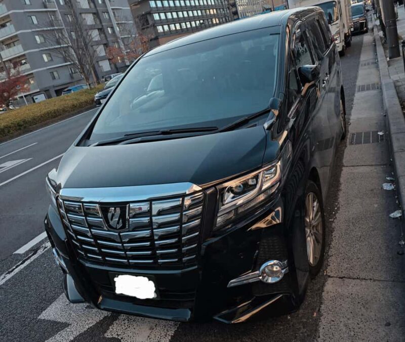 Kyoto Sakura Experience English Full Day Sightseeing Tour - Who Should Consider This Tour?