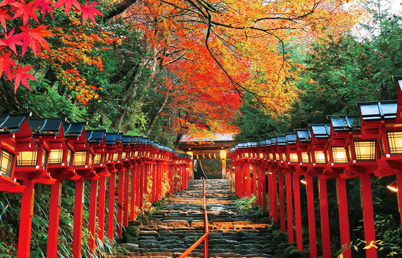 Kyoto Sanzen-in, Kifune Shrine, and Arashiyama Small Group Day Tour (Driver-Guide Service) - At a glance