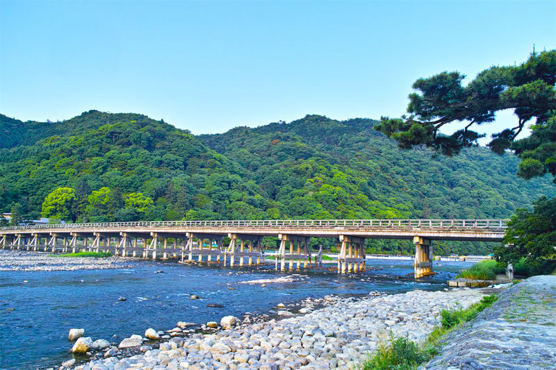 Kyoto Sanzen-in, Kifune Shrine, and Arashiyama Small Group Day Tour (Driver-Guide Service) - What the driver-guide service is really like