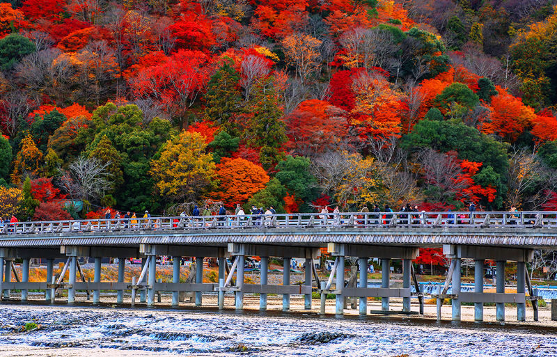 Kyoto Sanzen-in, Kifune Shrine, and Arashiyama Small Group Day Tour (Driver-Guide Service) - Is $47.25 good value?