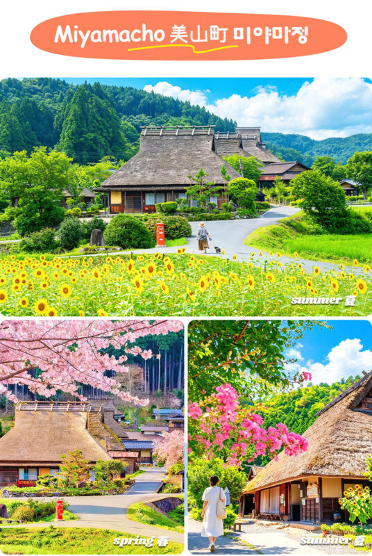 Kyoto Sea and Sky Secret Realm and Mountain Fairy Tale | Amanohashidate, Ine Funaya, Miyama Thatched Village Day Trip | Departing from Osaka - Guides, transport, and what the schedule feels like
