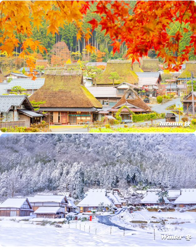 Kyoto Sea and Sky Secret Realm and Mountain Fairy Tale | Amanohashidate, Ine Funaya, Miyama Thatched Village Day Trip | Departing from Osaka - Is the price good value?