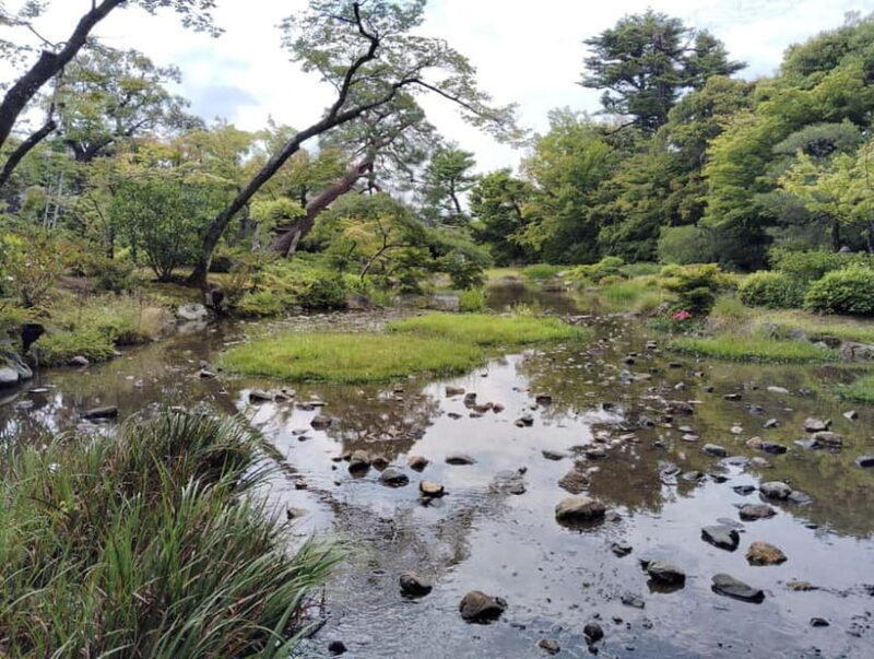 Kyoto: Serene Garden Philosophy at Murin-an with Matcha Tea - The Sum Up: Who Will Love This Experience