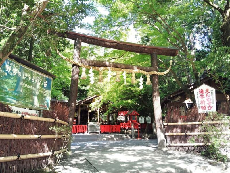 Kyoto: Serene Morning Walk in Arashiyama Bamboo Grove - An In-Depth Look at the Tour Experience