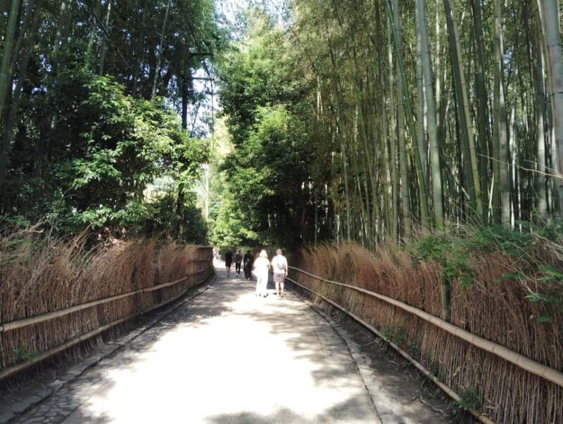 Kyoto: Serene Morning Walk in Arashiyama Bamboo Grove - Final Thoughts
