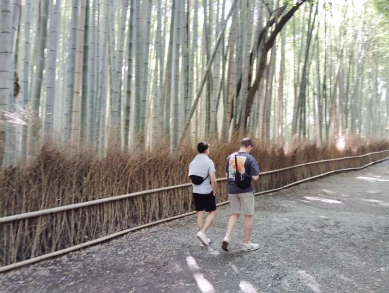 Kyoto: Serene Morning Walk in Arashiyama Bamboo Grove - Who Is This Tour Best For?