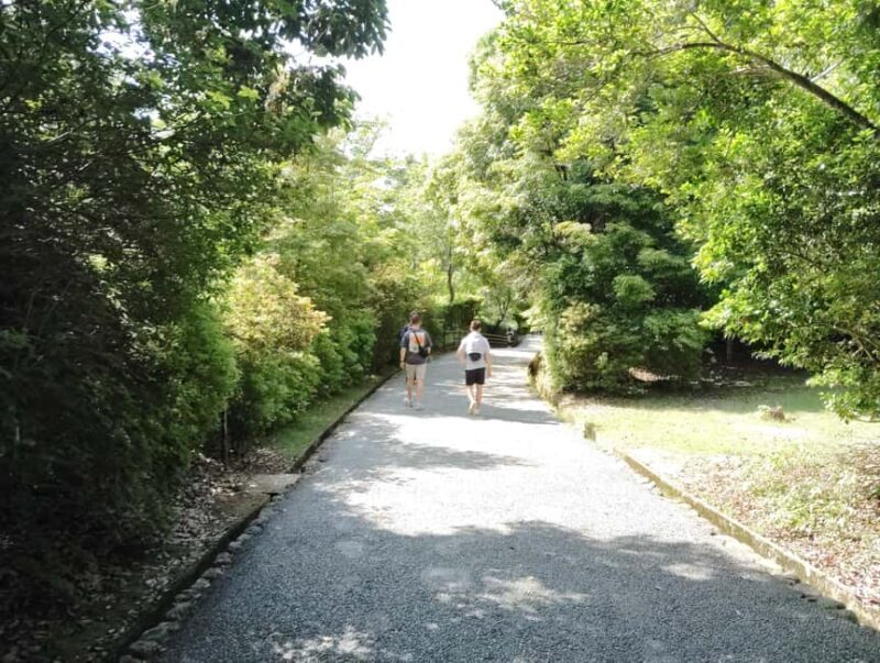 Kyoto: Serene Morning Walk in Arashiyama Bamboo Grove - The Sum Up