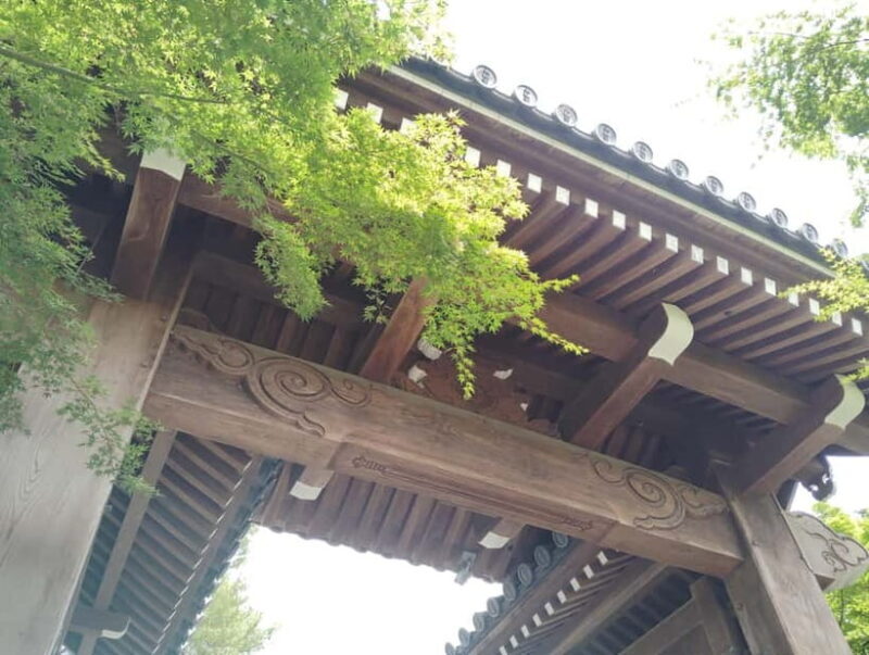 Kyoto: Serene Stroll Through Eikandos Timeless Temple Paths - Who Should Consider This Tour?