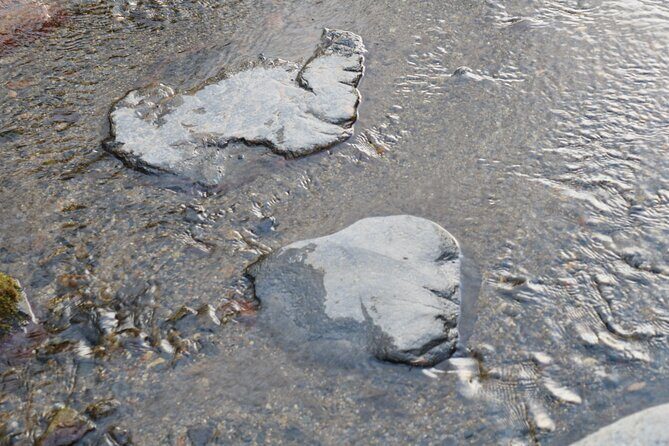 Kyoto Spiritual Conversations & Mindful Encounters PRIVATE Tour - Good To Know  