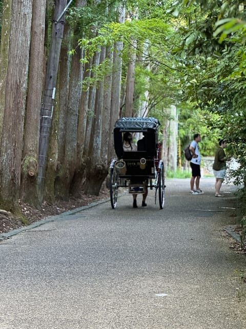Kyoto: Stroll around the Depths of Arashiyama - Exploring the Hidden Gems of Arashiyama