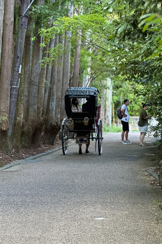 Kyoto: Stroll around the Depths of Arashiyama - Practical Details and Value